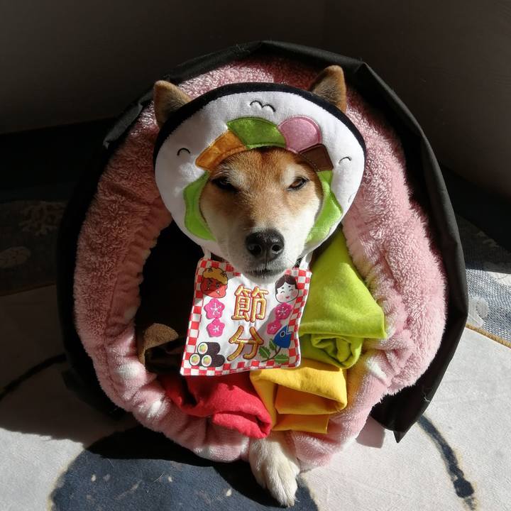 27a780a9 d3c6 4e8a a2f4 0073924abb0b 1643778130522