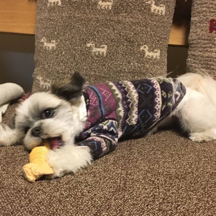 27a79229 7a7b 4485 b15c c1b4d0bd1976 1515398370849