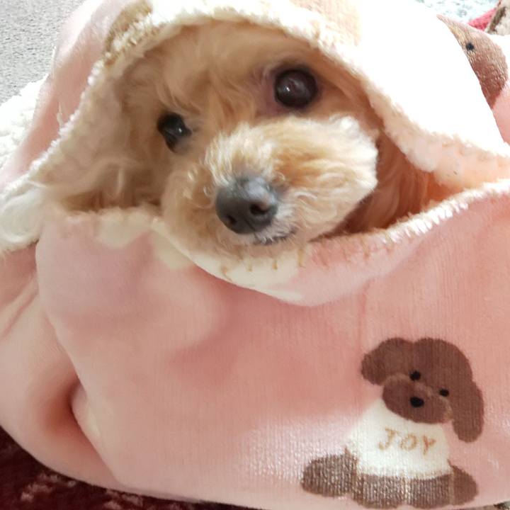 27a7a3d7 5d4c 4155 8ddb f75f85488df5 1678240754511