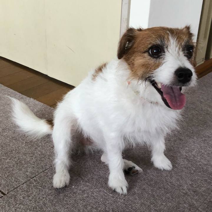 27a7ce5c a840 4fa1 b81e cc29ffe69350 1600759200867