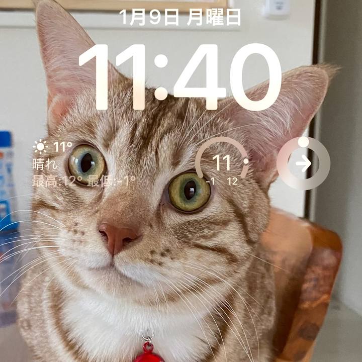 27a86364 389a 49cc 8c9c 3ee61360a6bf 1673232054842