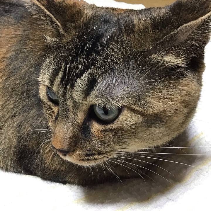 27a87cbf effa 4e2c aa4f 0dae758133f1 1725096825924