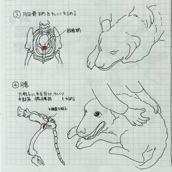 27a8a250 e4ae 46f6 b30f f55a440b6d31 1774144028018