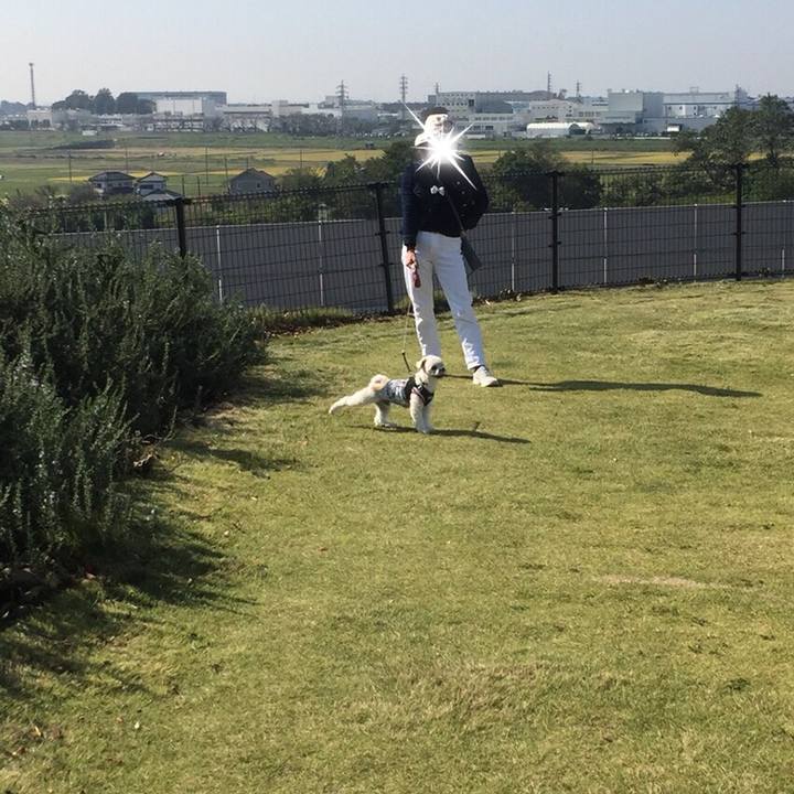 27a8d36c 6ed5 4c58 a0fe c63f325ba899 1509275385568