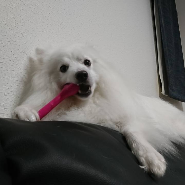 27a8fa5e d202 4ddc aeb6 5b7a00562853 1599487769249