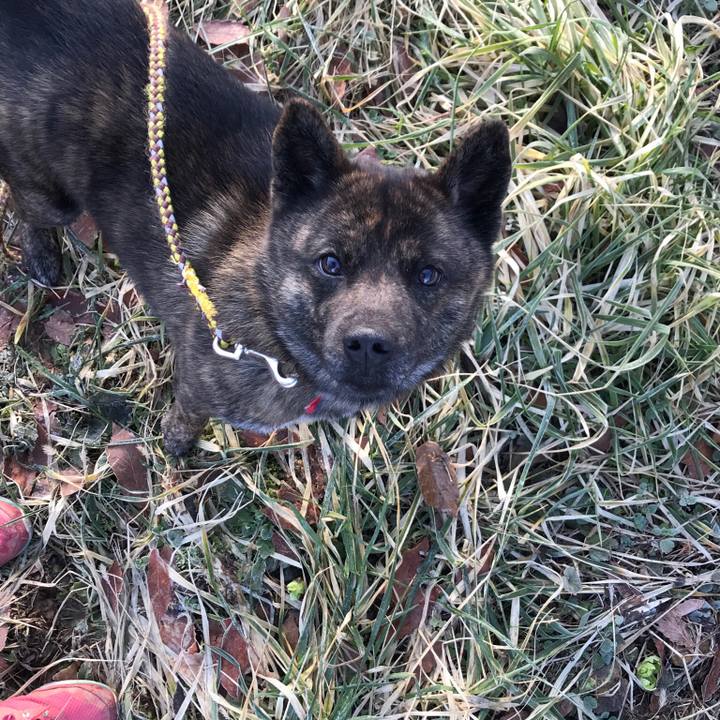 27a94e95 aefe 4f89 912b 45b55a71a620 1520290928105