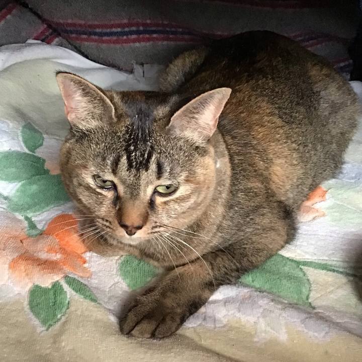 27a9535a d3c6 4e0c 964d 4b02374de383 1647484057443