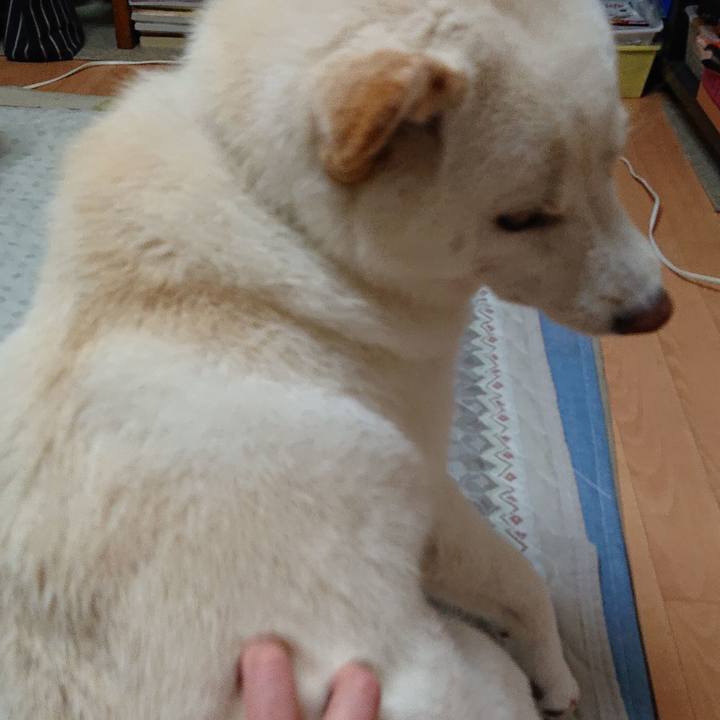 27a98143 906d 4516 a57c 6d3c949f1eb4 1561204473063