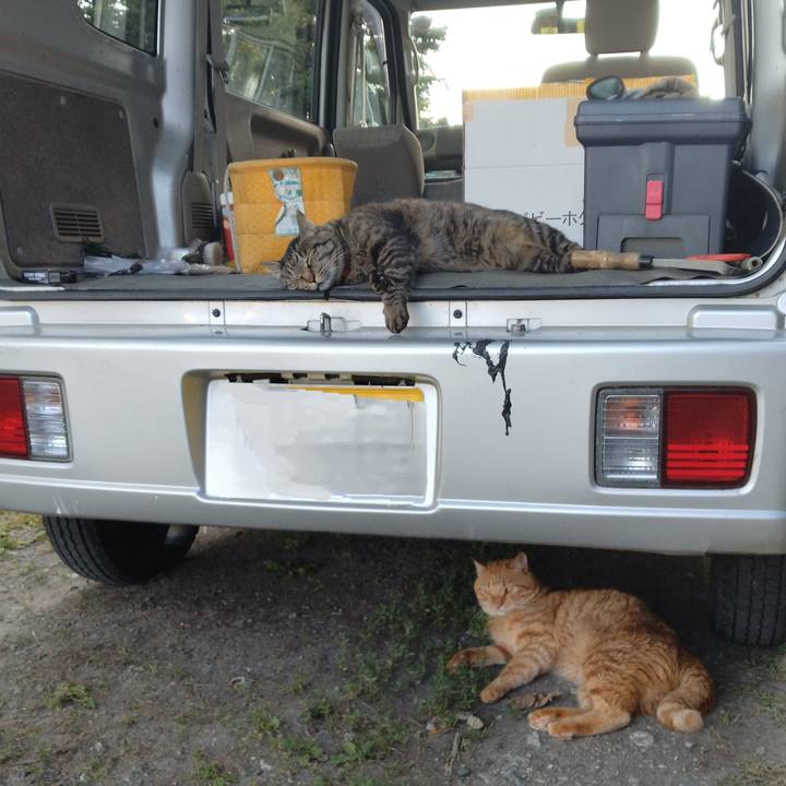 27a9914d ee04 4156 b905 c5e73344537b 1688632914511