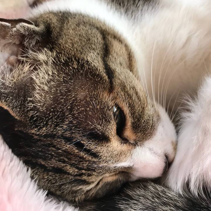 27a9a182 7b8b 4016 9d52 f2c99dfe684d 1521161250692