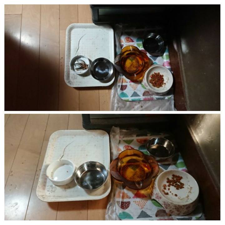 27a9a769 001c 4f76 97f6 f7241f923930 1623962012930