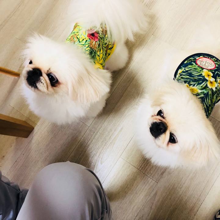 27a9a8b9 f5ea 4440 bb62 19c2eaddd3ba 1563921569250