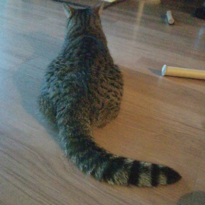 27a9b1ef d84b 4dc7 a525 269af1749050 1592163282915