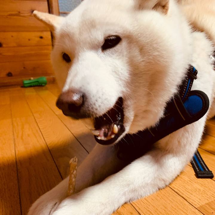 27a9c918 40e0 4f9d 9103 8f86ec582088 1690113795840