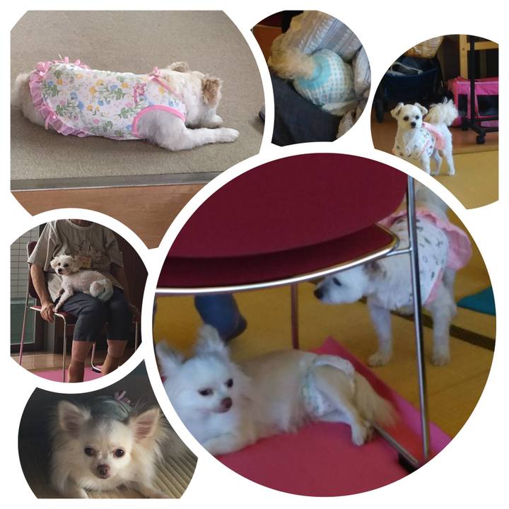 27aa51da 17b5 47df b935 3ab4dc646328 1535114509875