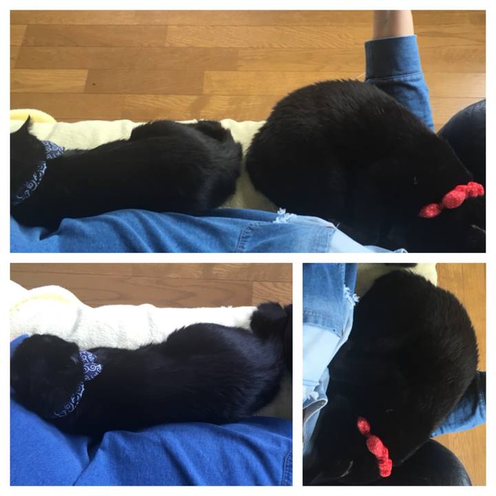 27aa6eea b370 481d 936a 9364df15df7a 1537062374935