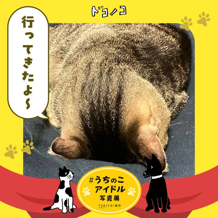 27ab5012 1ddd 4129 b20e ab556d5afece 1761521398354