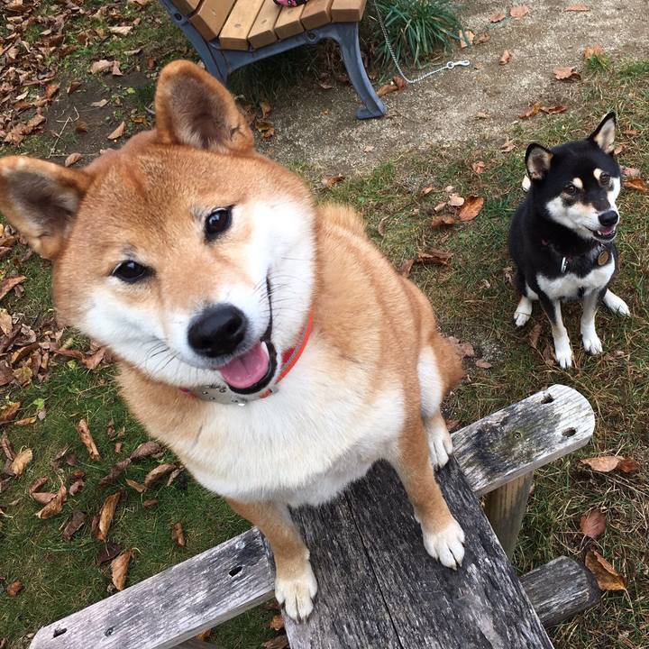 27ab5c70 7c7c 485d acb7 8be8c6a8e4f9 1548936871892