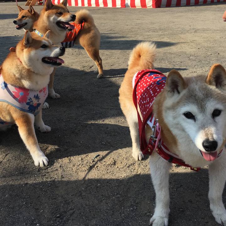 27ab8e2f 9357 44d2 8ffb a43ec3668064 1564877692519