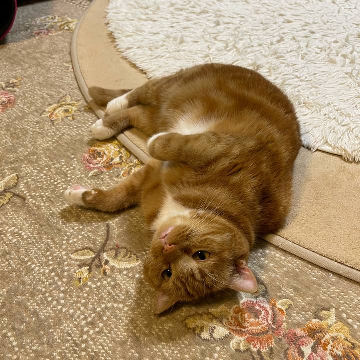 27aba86e 3fd5 4aca 88d4 0af3a894ffcd 1631960189951