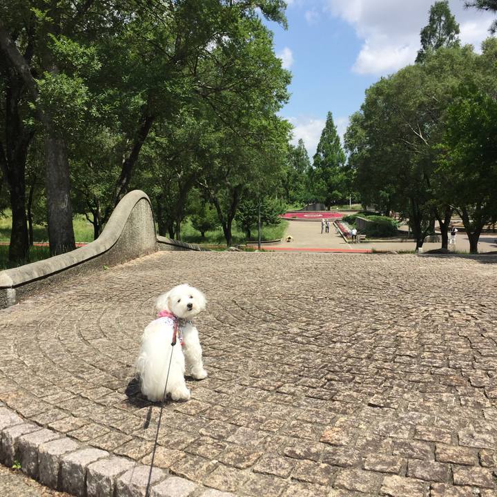 27abb30b 3fbd 4cc8 8a96 646dfc572226 1527827221169