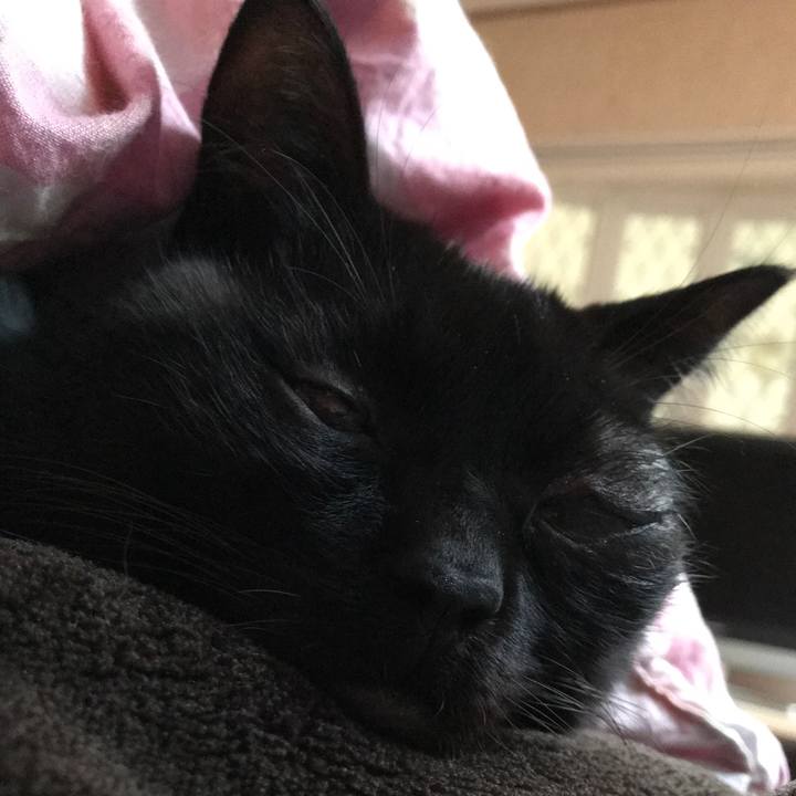 27abbdef 690d 48fd af98 884c25e14d6a 1550294851418