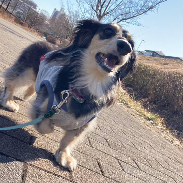 27abde0f 6556 4b33 84a6 12fee353f69e 1771127404328