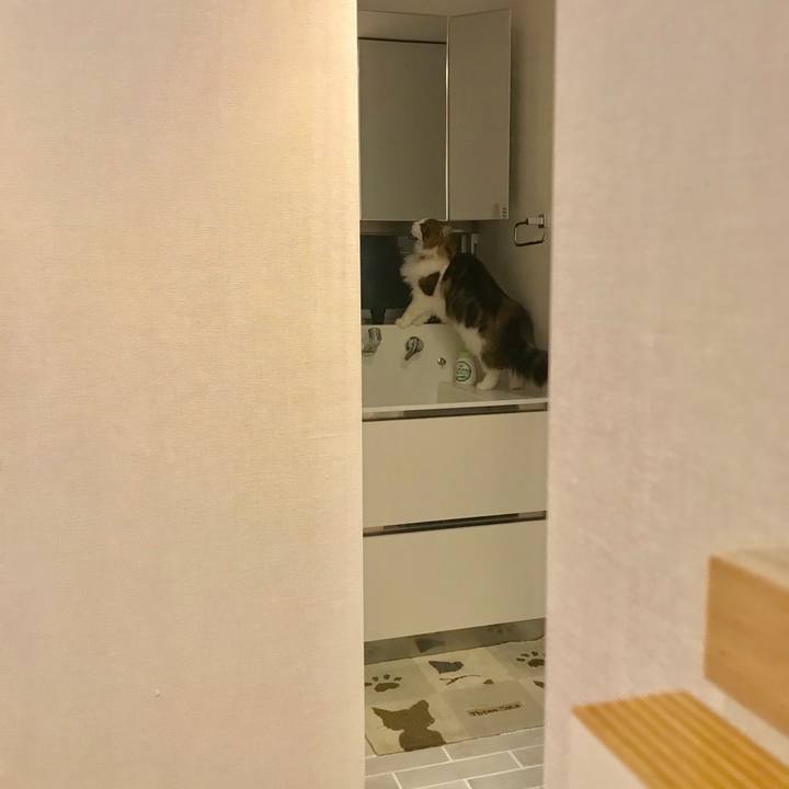 27ac0a9f a1ec 44fc baf6 1710f84876fd 1555585609130