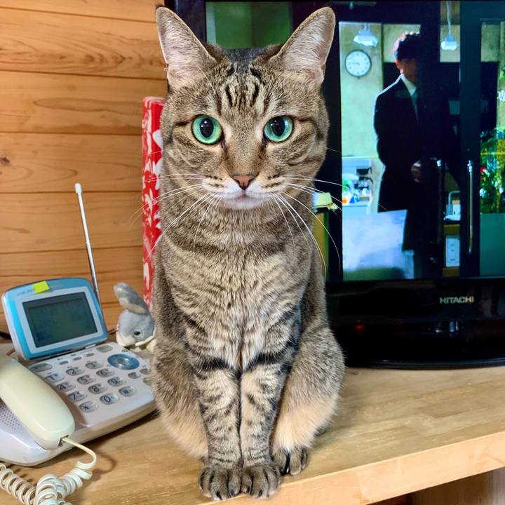 27ac4e74 f903 4b21 805b c7a99fc1820b 1597733515904