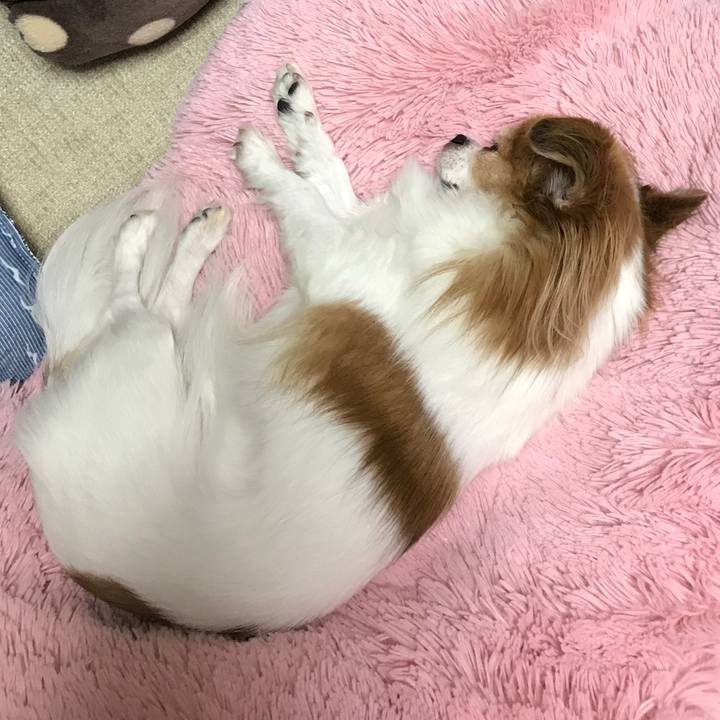 27ac4ecb 07d8 4fa3 92b4 3115fbb731b4 1511445576927