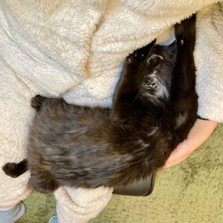 27ac6831 eebd 40f8 8e51 e19b0e49fe4f 1711242316558