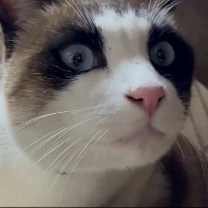 27ac78ed 828f 42f7 b398 84c31956be73 1771338040258