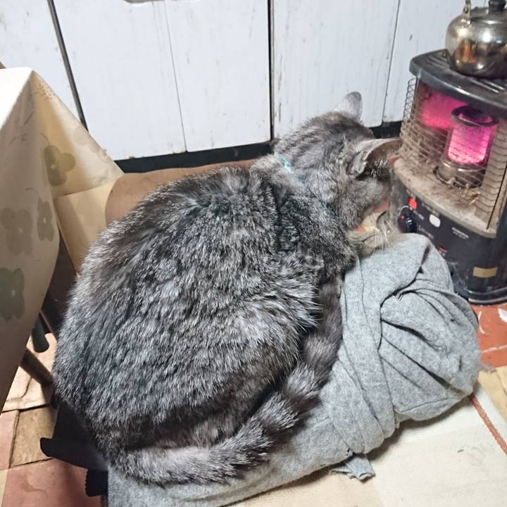 27ac9d7b 02f4 4e16 885e 1581c1886fb9 1576532213050