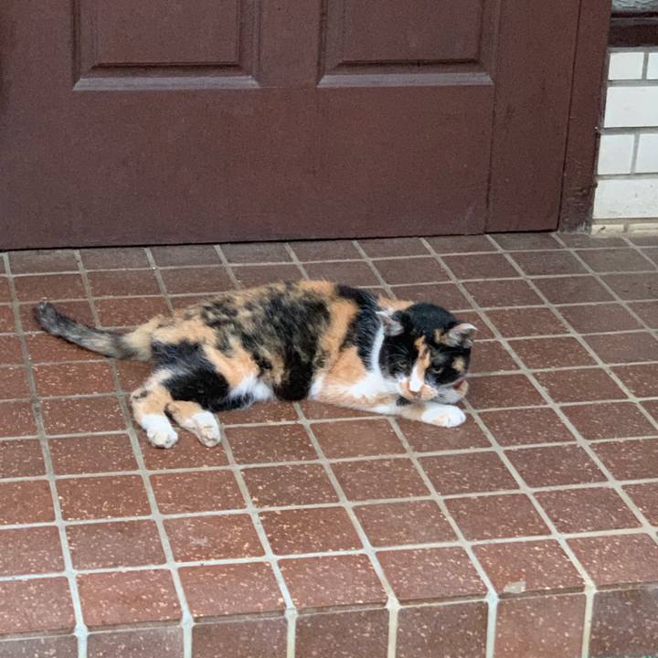 27acab3b 1c55 41b3 ae18 37fc73050871 1566211655642