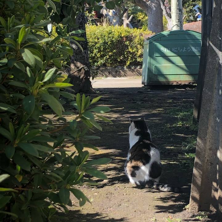 27ace6c6 bd29 44cb badd 1ca795cbc5e1 1645974662262