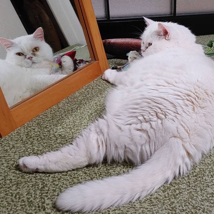 27ad1c42 85f2 4622 8bfa ddb5302ab0db 1747568010461