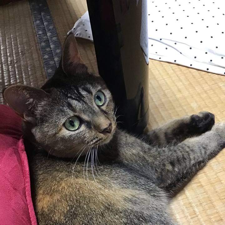 27ad7797 b6bb 4ef4 8f99 20114f518f9b 1660211473843