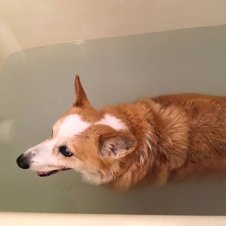 27ad9799 a743 45e2 b47c a36aa364da59 1626088750600