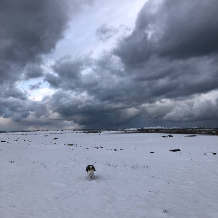 27ada5ec 5ba9 4f11 b953 3e233aab19a1 1609461491638