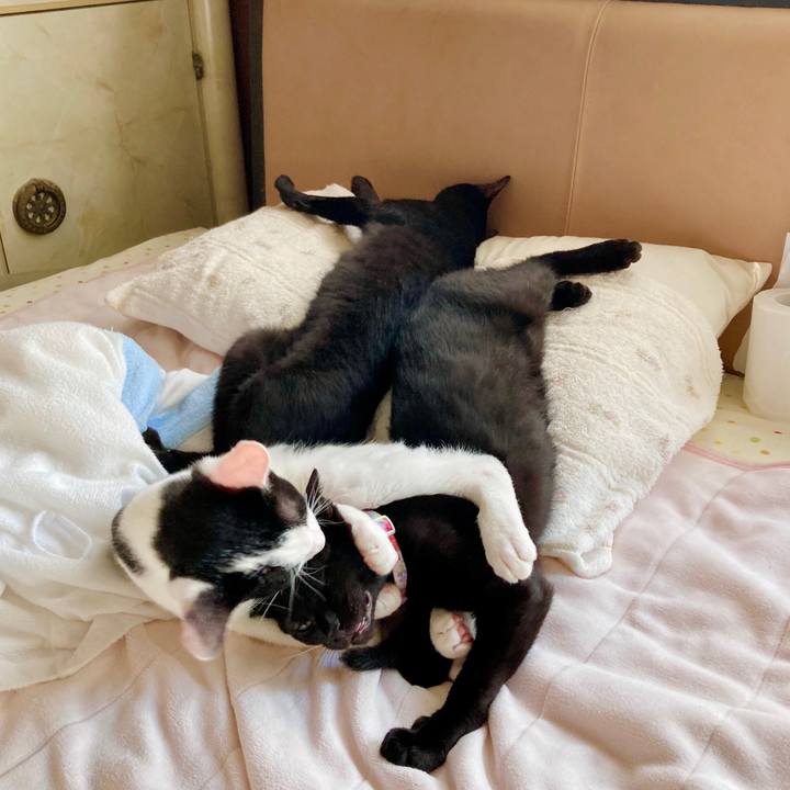 27ade6b4 a725 4b73 83fc c1b1c21f0c67 1634186657930