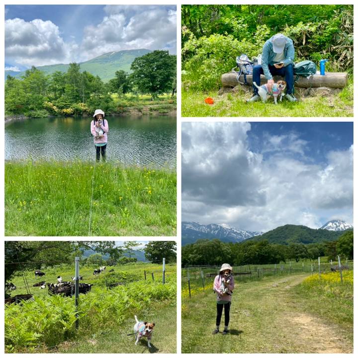 27ae0995 9ea2 4599 b13e 732c8a51fa18 1655881262973