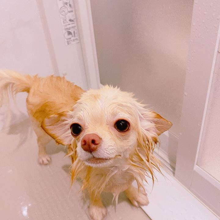 27ae0c6d e4be 42ab 9415 80eff0ff0f93 1624863062868