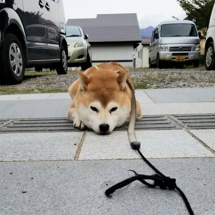 27ae5d0d 47d1 40cf 9778 e0c5df460476 1571898893498