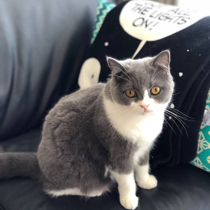 27ae793c 185f 4026 8cbf 4925546544c7 1538873800595