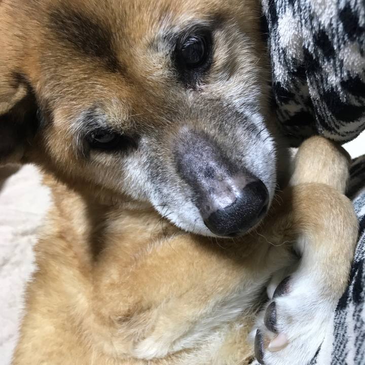 27ae96eb d9bd 472e bd5d 68b49f09e086 1551736247319