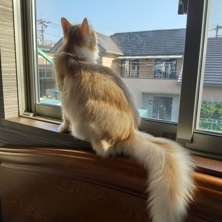 27aed67e 3bc6 42da aaca 5a372e766664 1623191519806