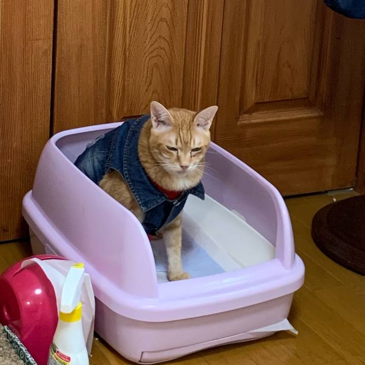 27af0cc2 682f 4905 b24f e16eb1db0b6c 1624742912360