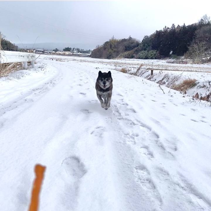 27af4065 3c9d 4abd bec0 657cf72da9ec 1676545667365