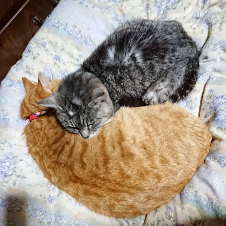 27af50ee 519b 4ebb 9b46 342735452a09 1579002170303