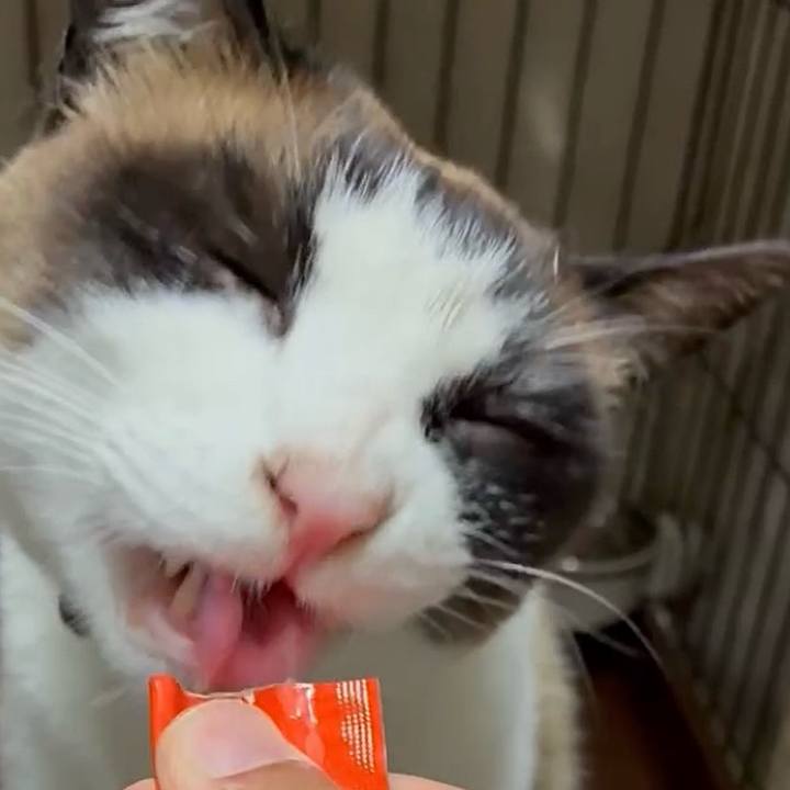 27af69d0 c4b6 4d57 b1b3 7f3d4802d7a1 1747821033741